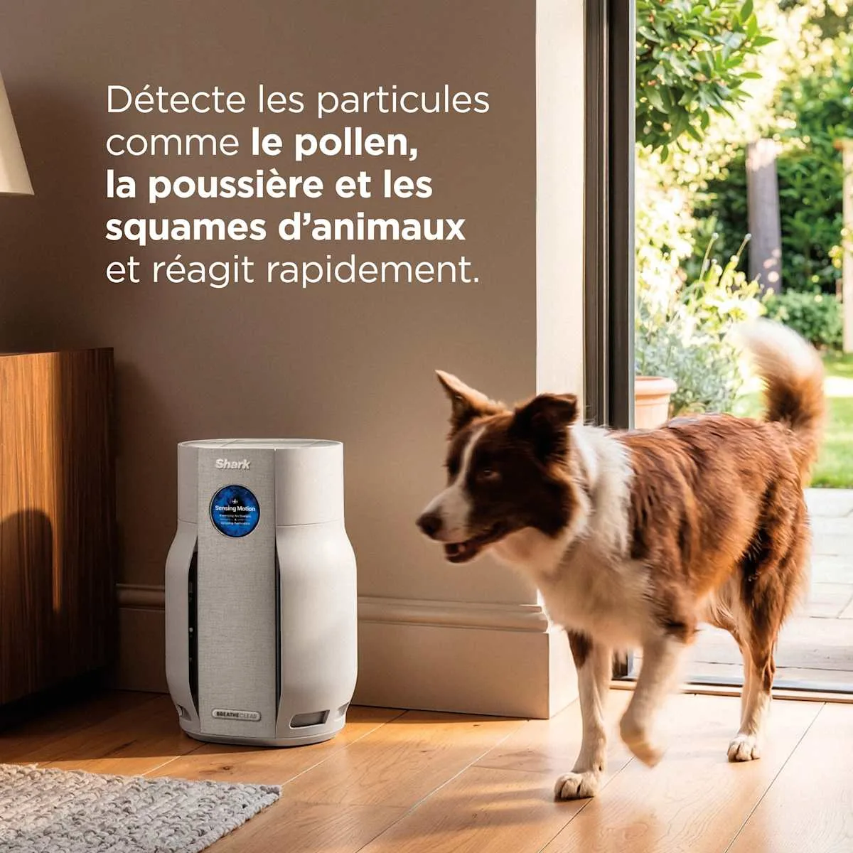 Shark Shark BreatheClear Air Purifier with NeverChange6, up to 70 m² — Image 4